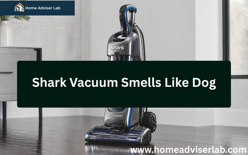 Shark Vacuum Smells Like Dog-FI