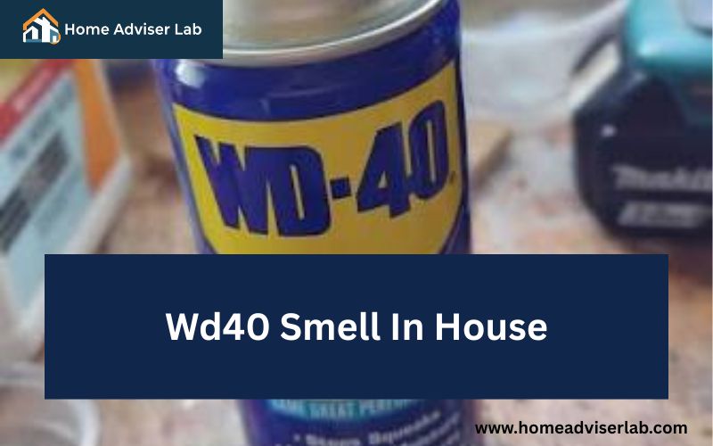 Wd40 Smell In House-FI