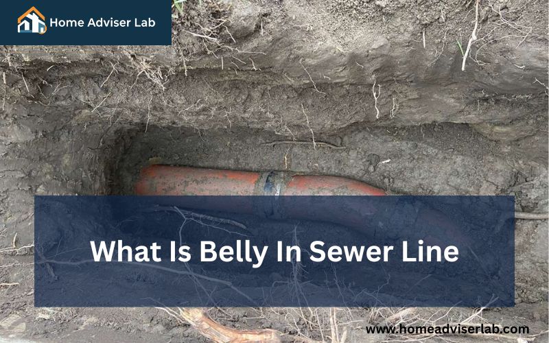 What Is Belly In Sewer Line-FI