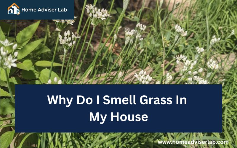 Why Do I Smell Grass In My House-FI
