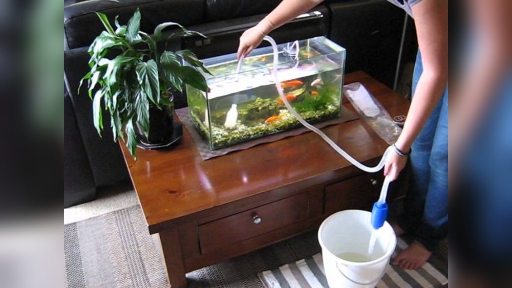 Aquarium Gravel Vacuum How To Use