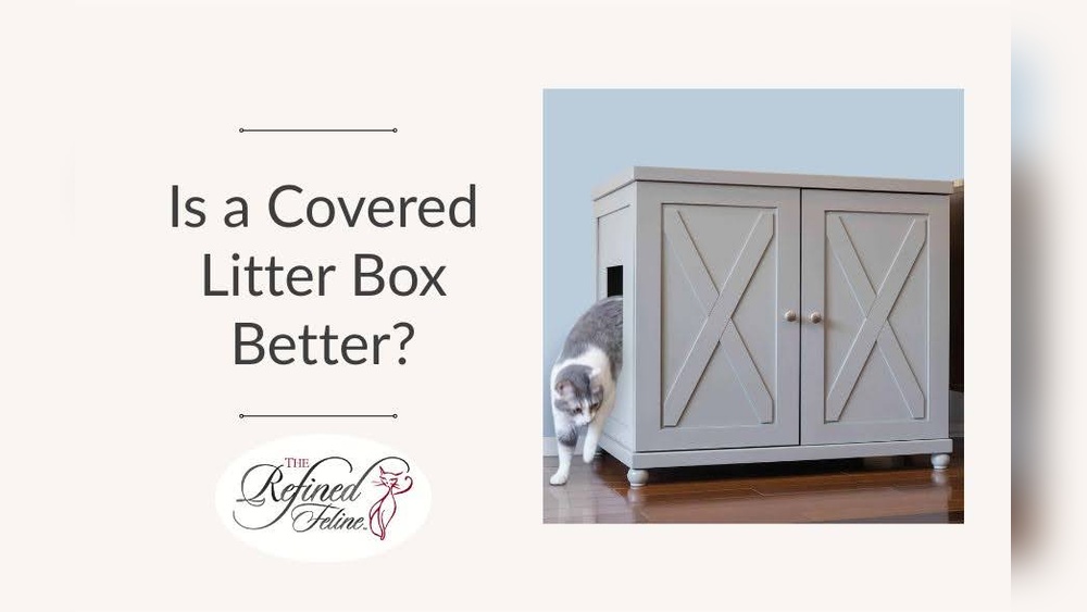 Do Covered Litter Boxes Smell Less
