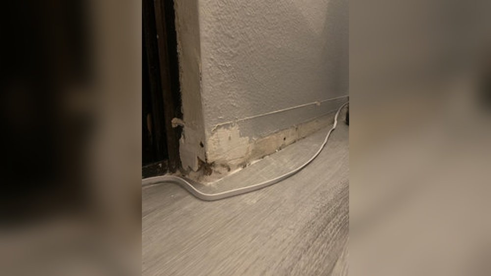 Drywall Smells Like Urine