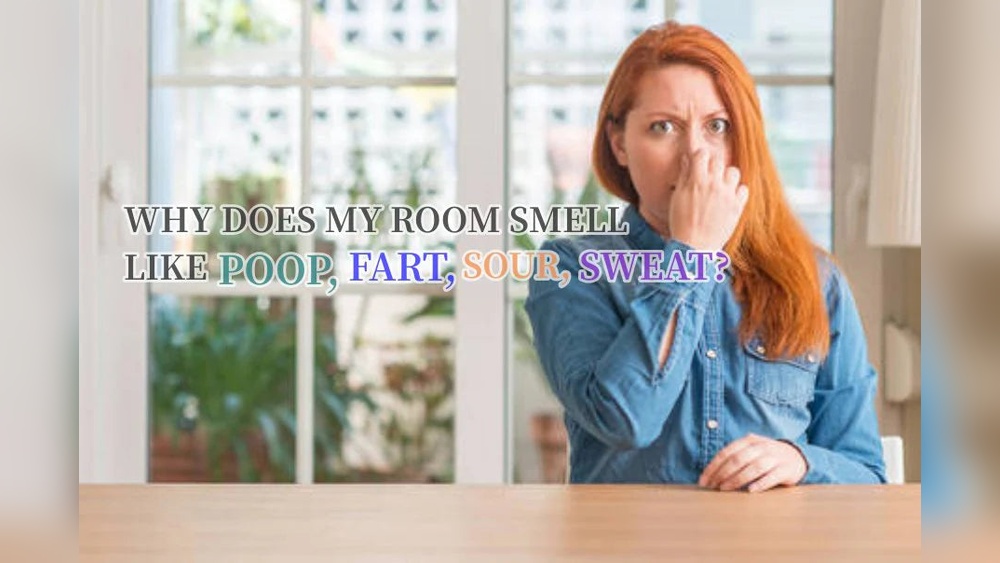Fart Smell In House