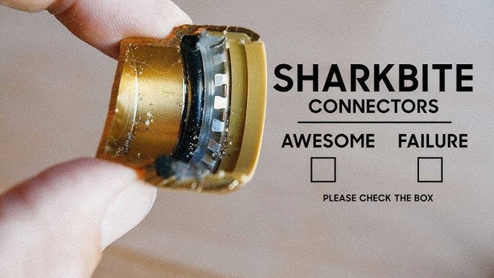 How Long Do Sharkbites Last