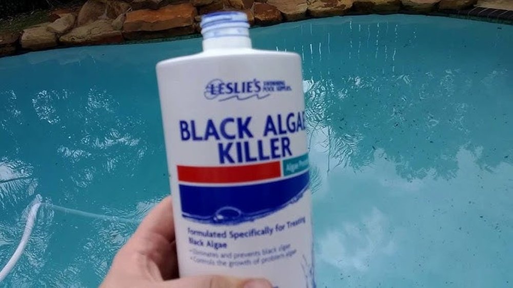 Leslies Black Algae Killer Reviews