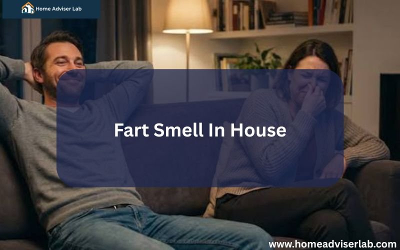 Fart Smell In House-FI
