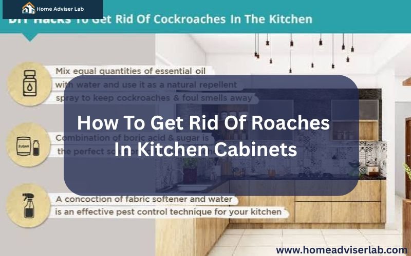 How To Get Rid Of Roaches In Kitchen Cabinets-FI