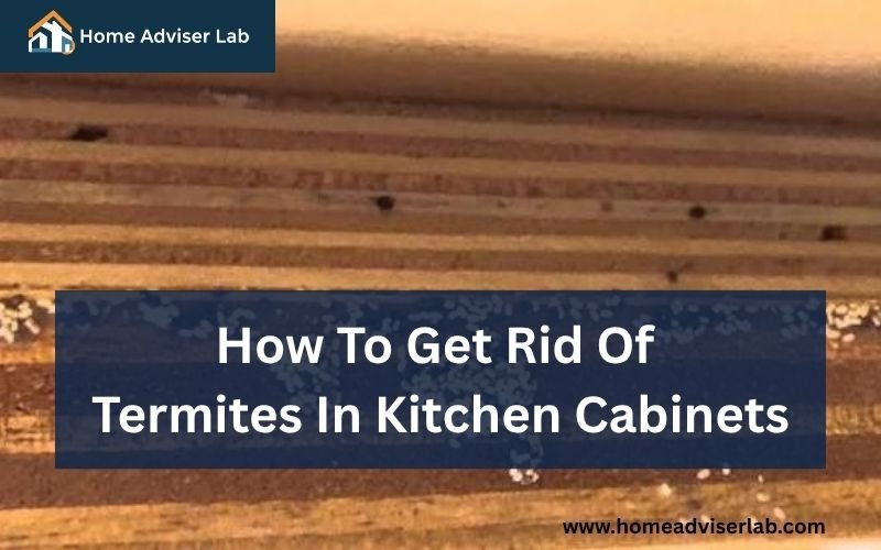 How To Get Rid Of Termites In Kitchen Cabinets-FI