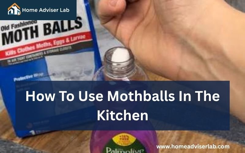 How To Use Mothballs In The Kitchen-FI