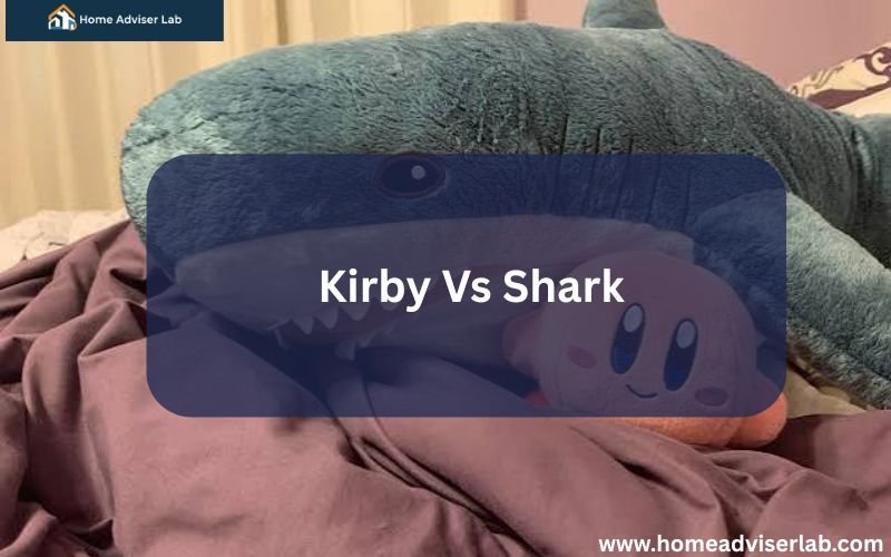 Kirby Vs Shark-FI