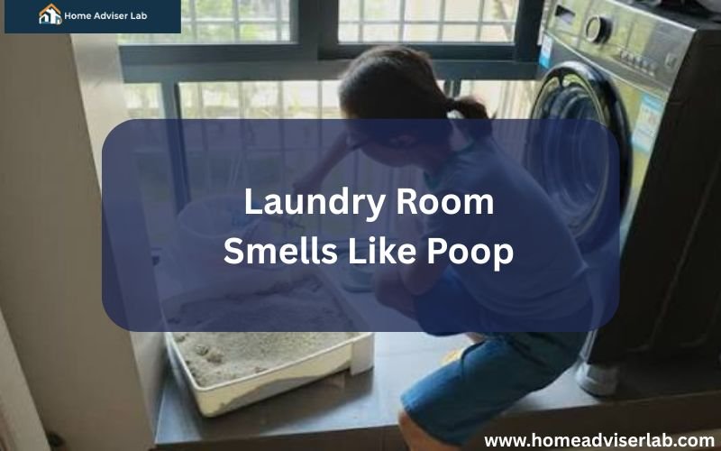Laundry Room Smells Like Poop-FI