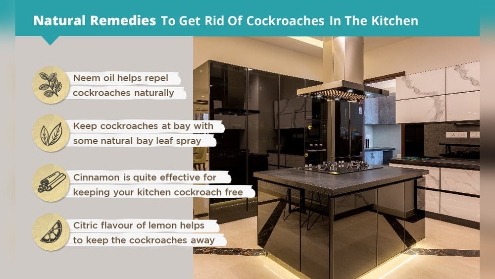 How To Get Rid Of Roaches In Kitchen Cabinets