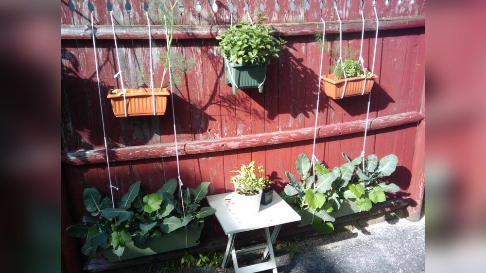How To Make A Small Kitchen Garden