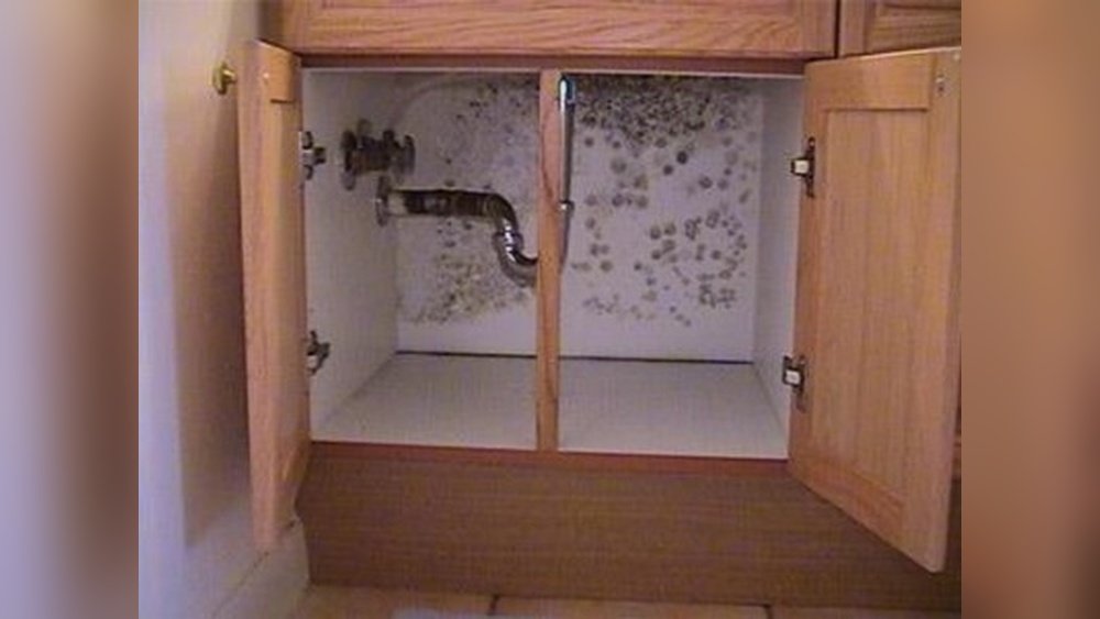 How To Prevent Mold In Kitchen Cabinets