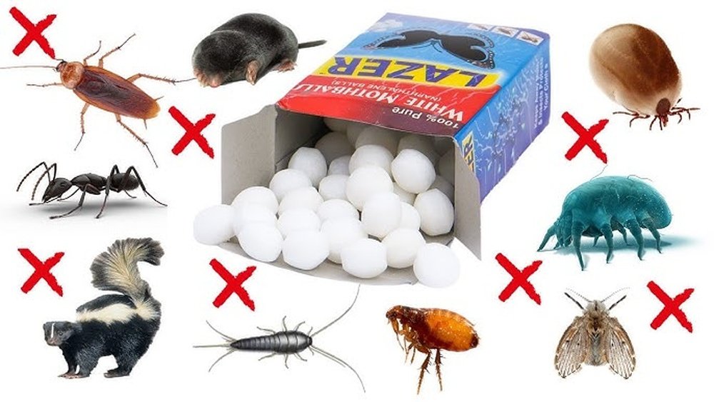 How To Use Mothballs In The Kitchen