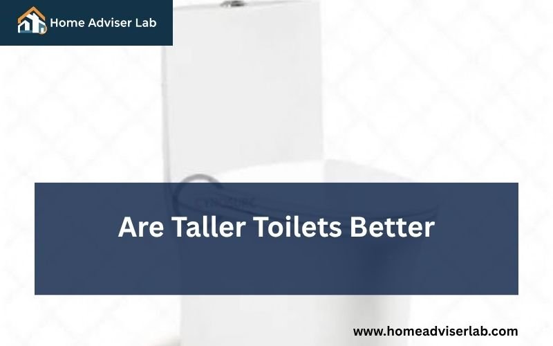 Are Taller Toilets Better-fi