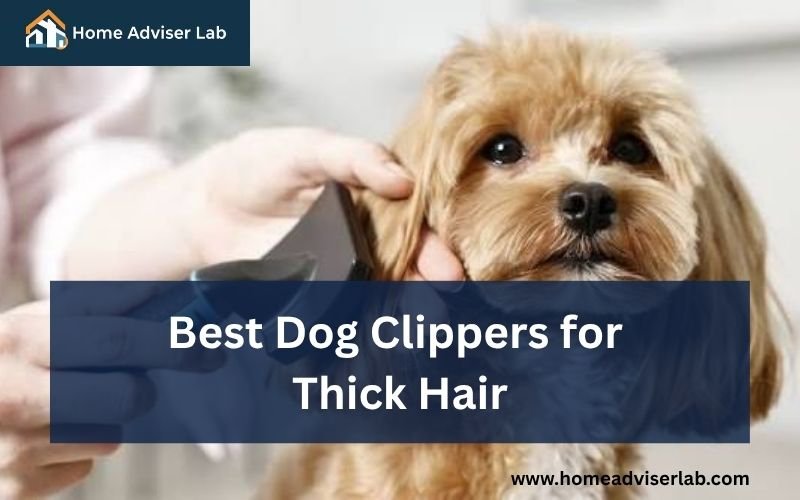 Best Dog Clippers for Thick Hair-FI