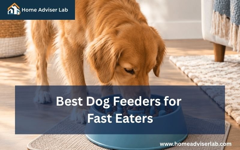 Best Dog Feeders for Fast Eaters-FI