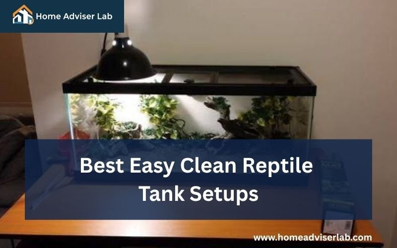 Best Easy Clean Reptile Tank Setups-FI
