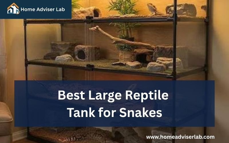 Best Large Reptile Tank for Snakes-FI