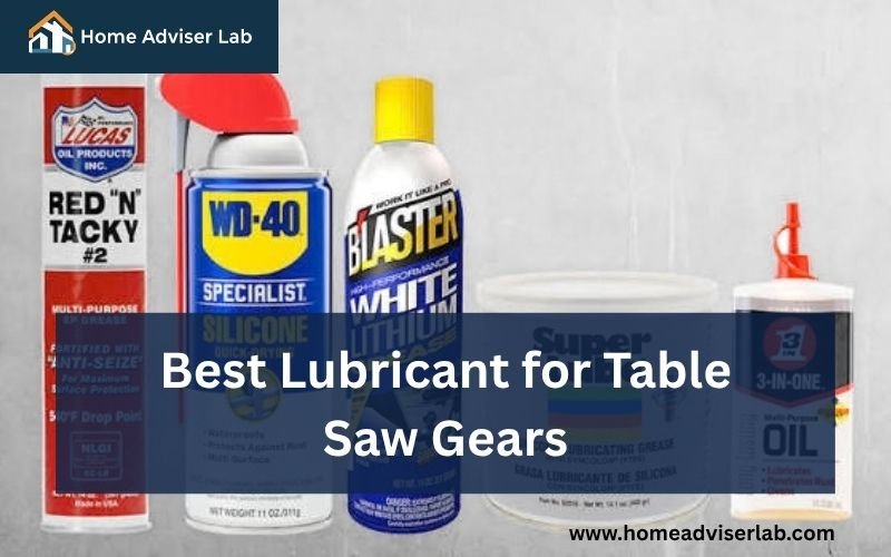 Best Lubricant for Table Saw Gears -FI