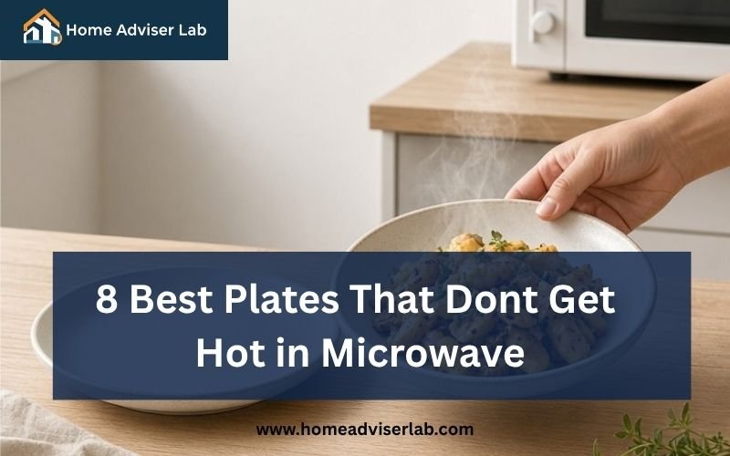 Best Plates That Dont Get Hot in Microwave-FI