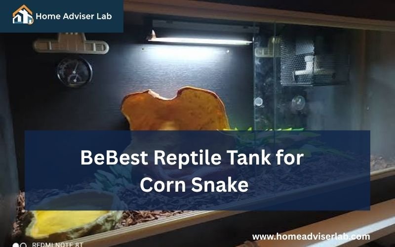 Best Reptile Tank for Corn Snake-FI