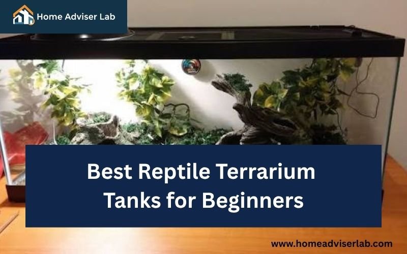 Best Reptile Terrarium Tanks for Beginners-FI