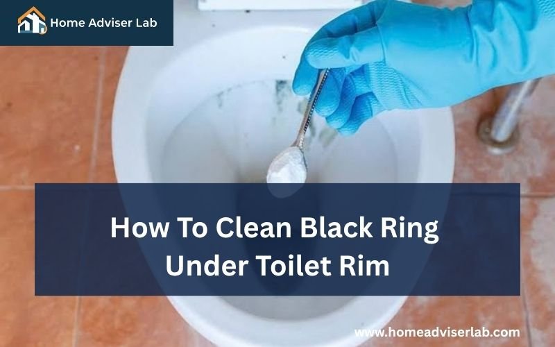 How To Clean Black Ring Under Toilet Rim-FI