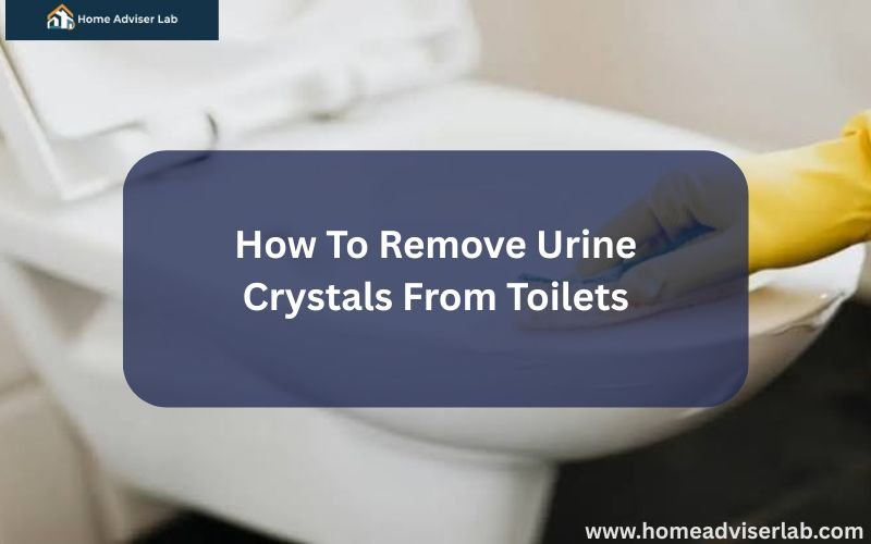 How To Remove Urine Crystals From Toilets-FI