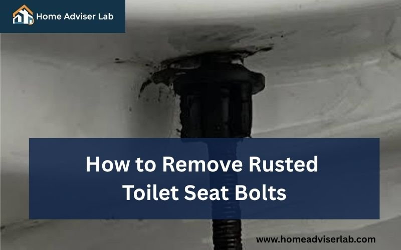 How to Remove Rusted Toilet Seat Bolts-FI