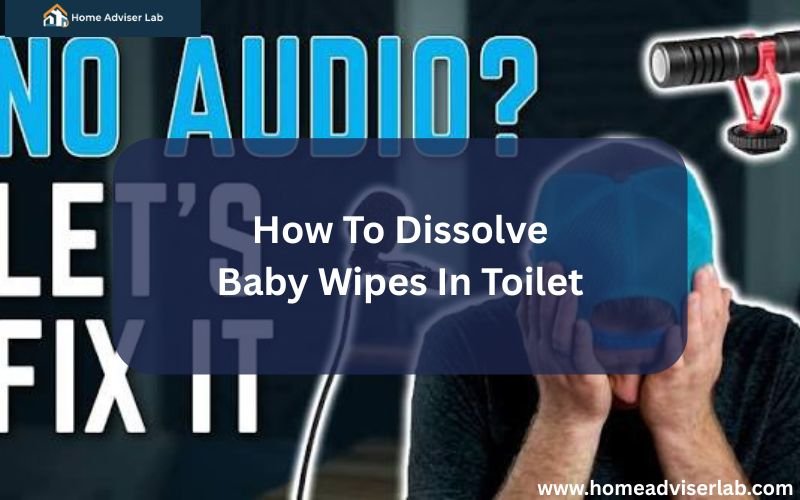 Microphone Working But No Sound-FI