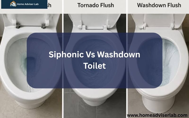 Siphonic Vs Washdown Toilet-FI