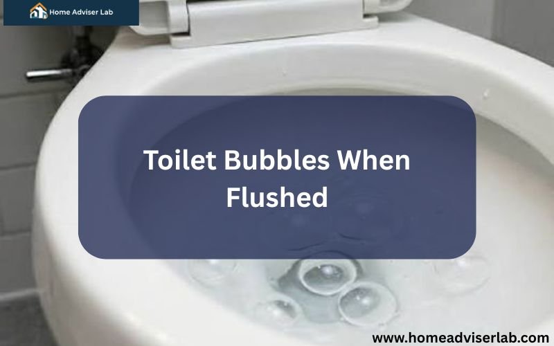 Toilet Bubbles When Flushed-FI