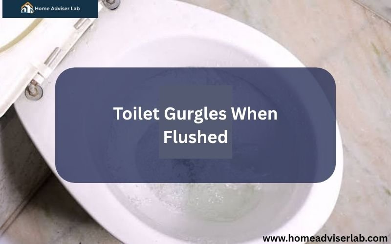 Toilet Gurgles When Flushed-FI