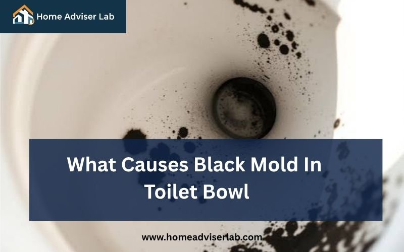 What Causes Black Mold In Toilet Bowl-FI