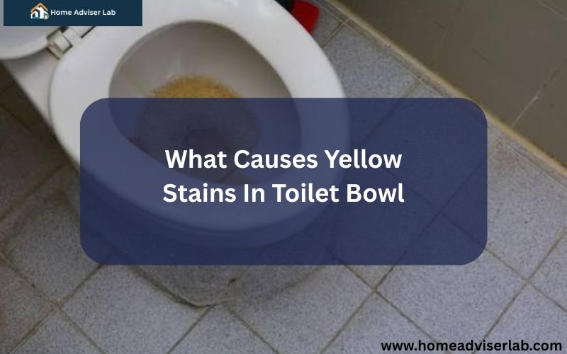 What Causes Yellow Stains In Toilet Bowl-FI
