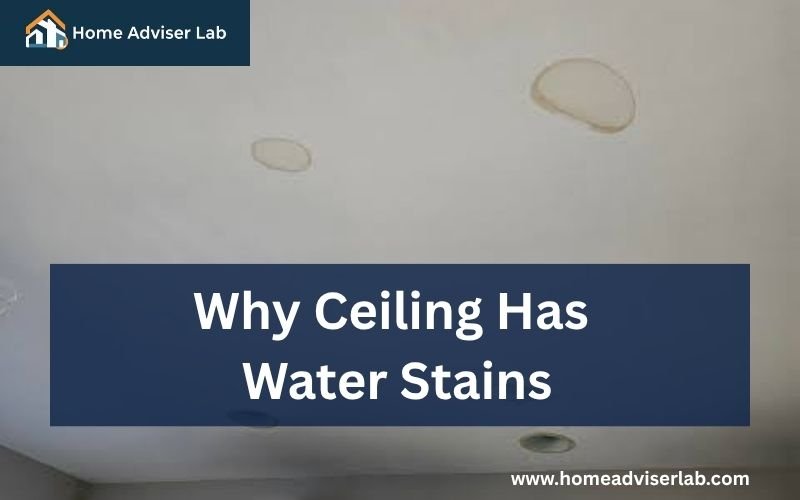 Why Ceiling Has Water Stains-FI