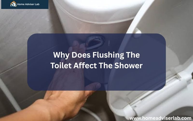 Why Does Flushing The Toilet Affect The Shower-FI