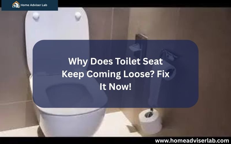 Why Does Toilet Seat Keep Coming Loose Fix It Now!-FI