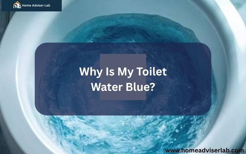 Why Is My Toilet Water Blue-FI