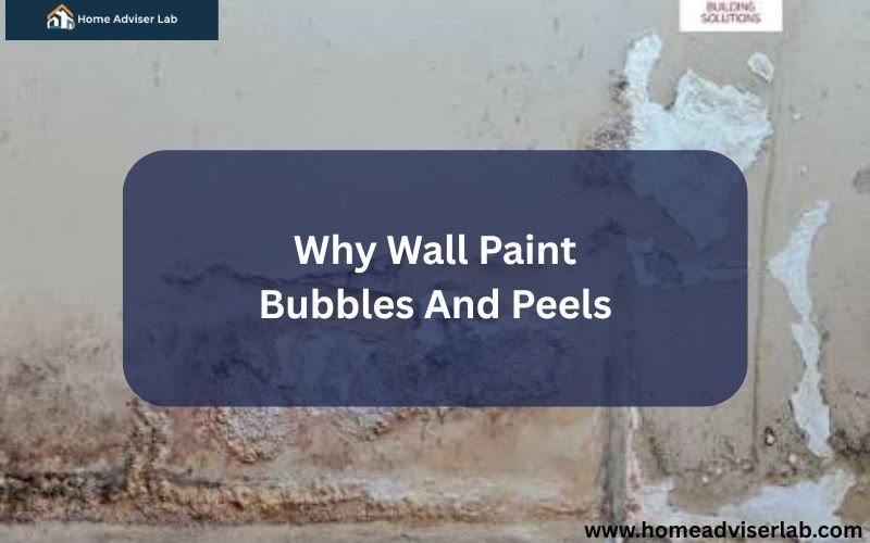 Why Wall Paint Bubbles And Peels-FI
