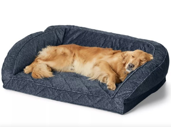 A large golden retriever rests comfortably on a supportive bed for large dogs.