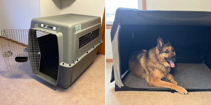 A comfortable golden retriever rests inside a durable dog crate for large breeds.