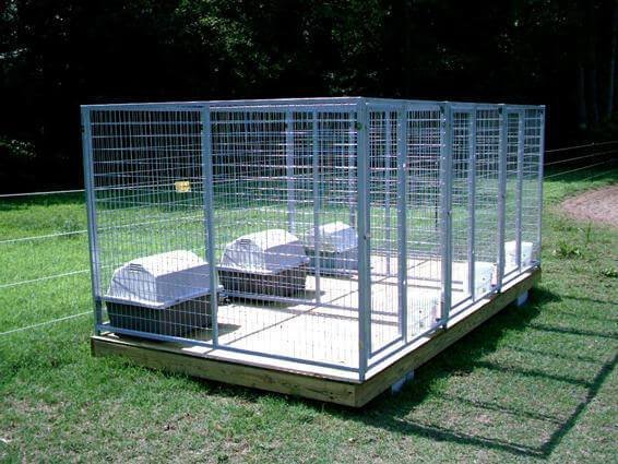 A sturdy outdoor dog kennel sits in a lush backyard with a golden retriever.