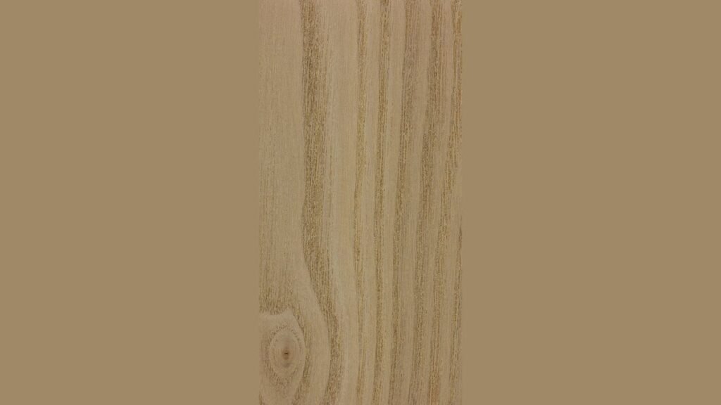 A close-up of sassafras wood being prepped with oil for a professional finish.