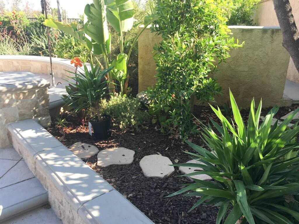 Lush green shrubs effectively screen pool equipment in a bright, modern backyard garden.