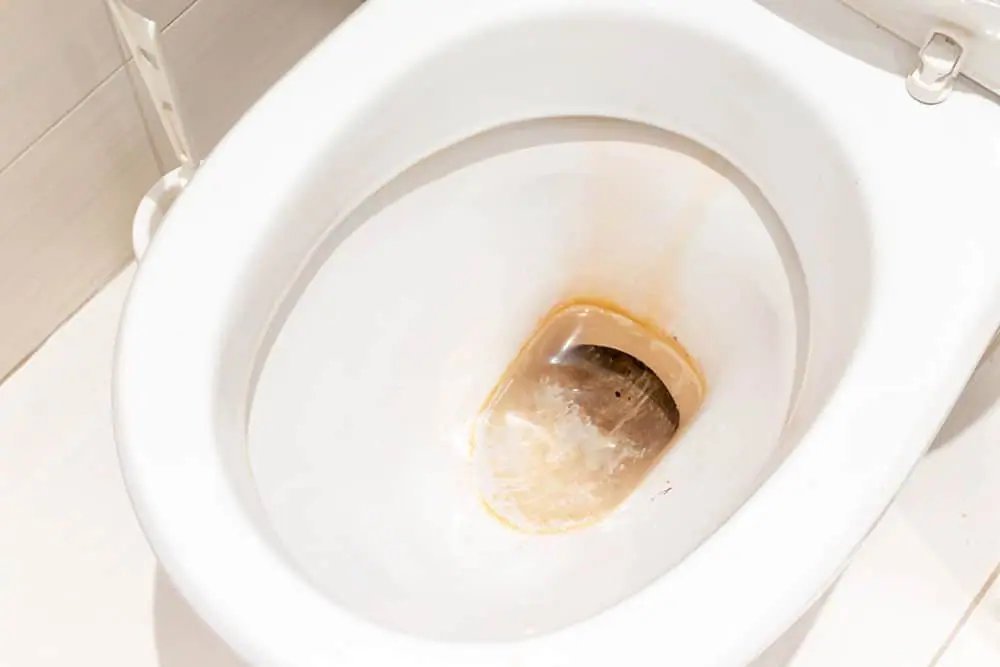 A modern, stain-resistant toilet seat in a clean and bright contemporary bathroom.