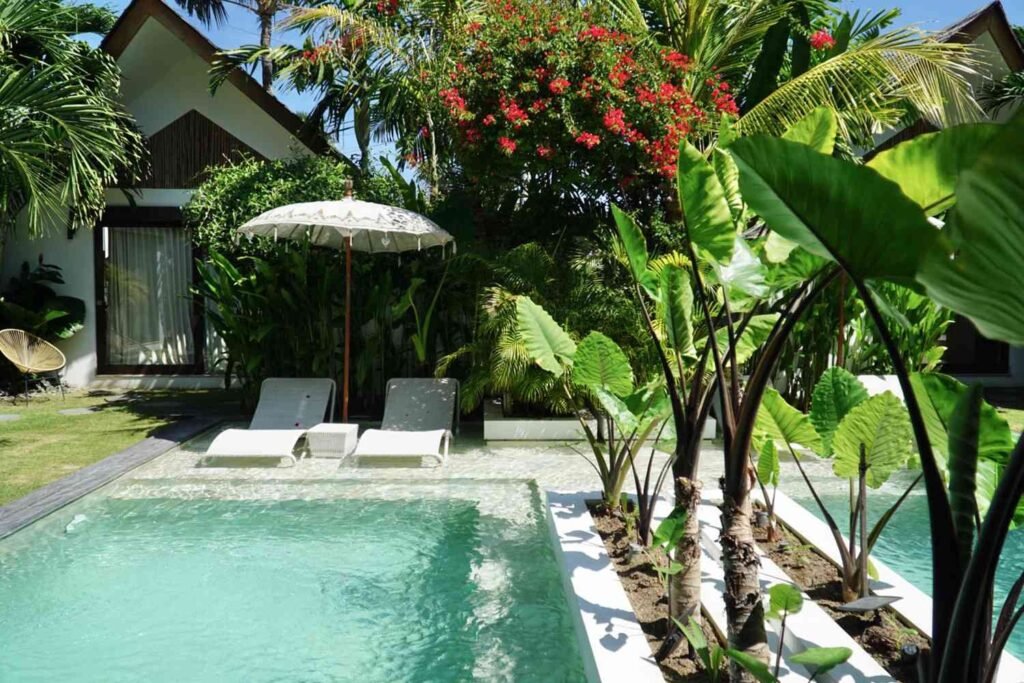 Lush Mediterranean cypress trees frame a modern backyard swimming pool in soft sunlight.